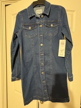 Celebrity Pink Blue Denim Dress - Button Front